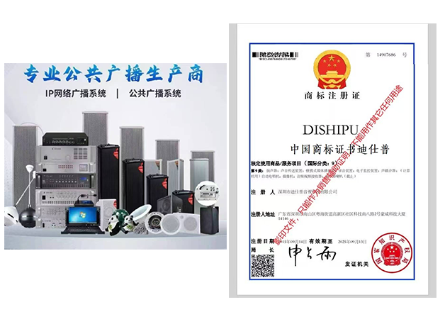 深圳市迪仕普音视科技有限公司